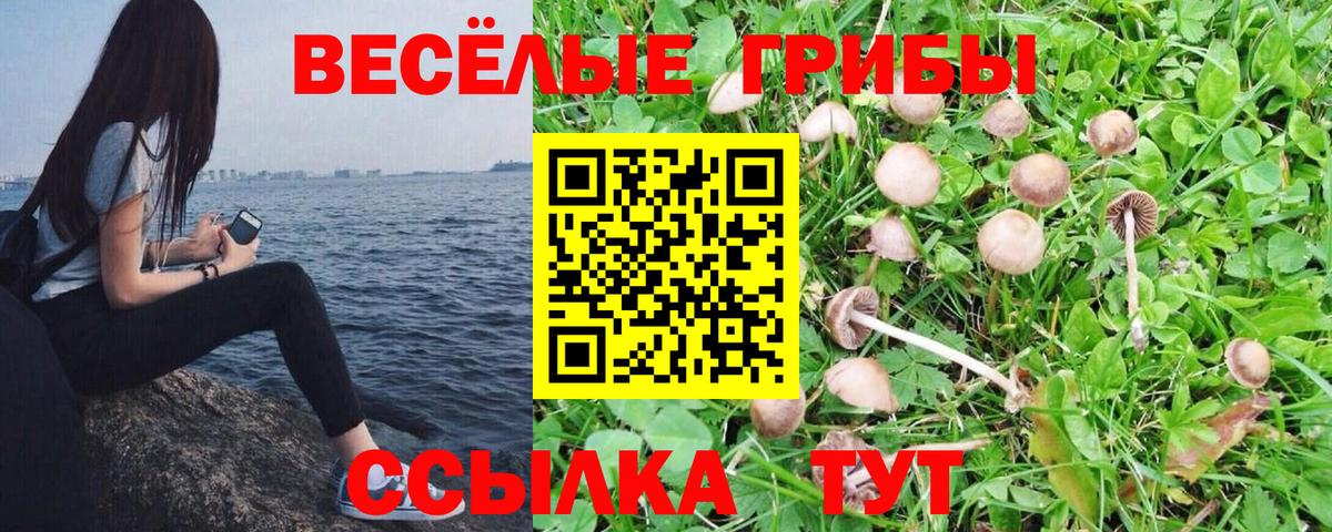 Галлюциногенные грибы ЛСД  Вход с VPN  Похвистнево 